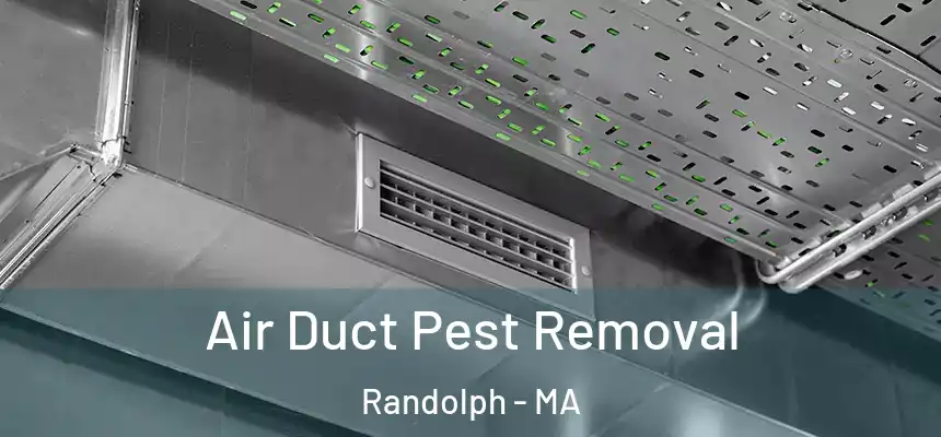  Air Duct Pest Removal Randolph - MA