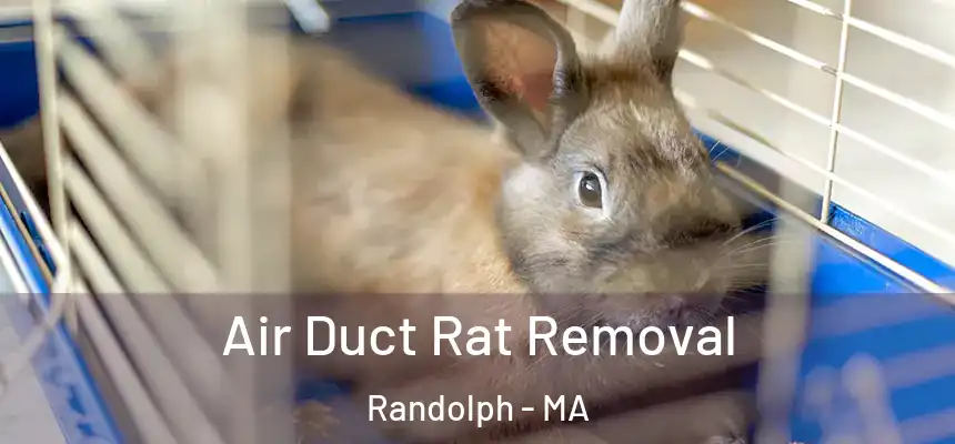  Air Duct Rat Removal Randolph - MA