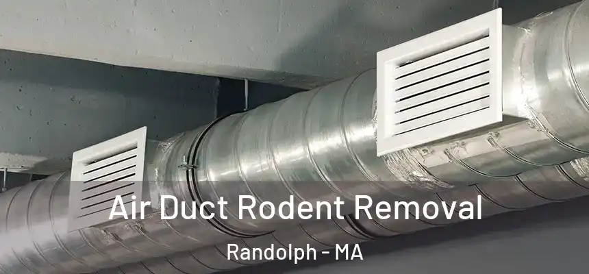  Air Duct Rodent Removal Randolph - MA