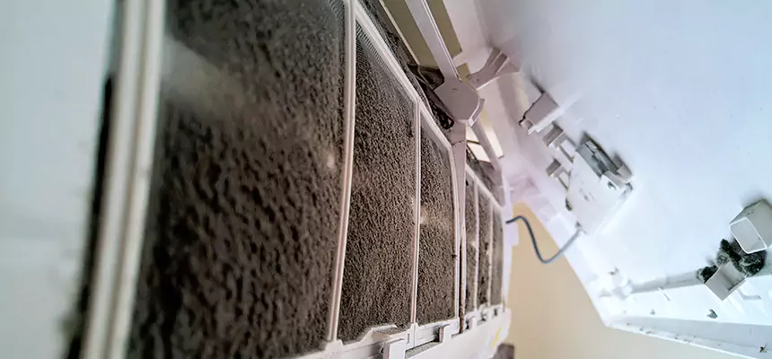 Preventive Air Duct Bacteria Removal in Randolph