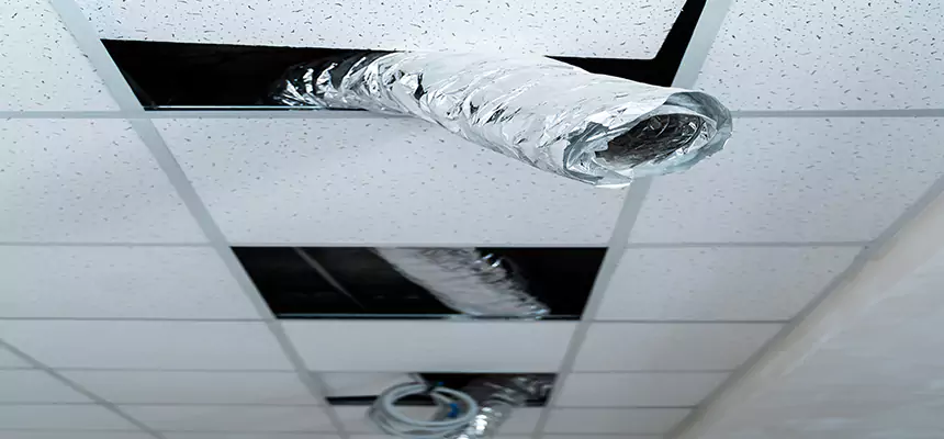 Our Air Duct Pet Hair Removal Services in Randolph, MA