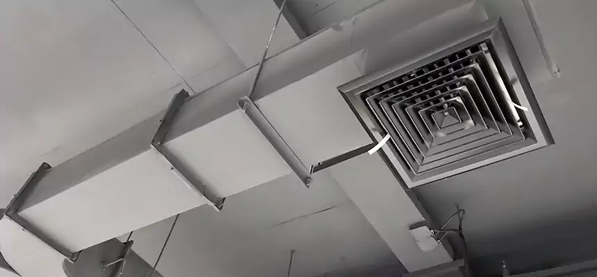 Restorative Allergy Relief Vent Cleaning – Coil, Blower & Housing Detail in Randolph