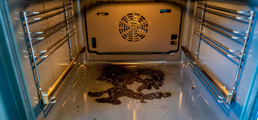 Our Dryer Vent Mold Cleaning Services in Randolph, MA