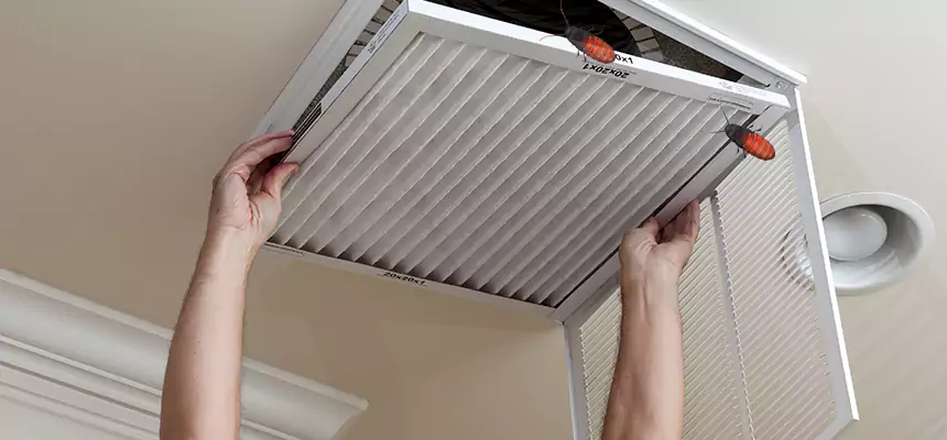 Our Insect Removal from Air Ducts Services in Randolph, MA