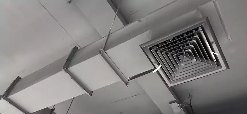 Our Rodent Droppings In Vents Services in Randolph, MA