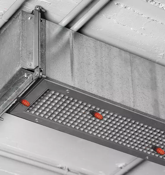 About Air Duct Cockroach Removal in Randolph, MA