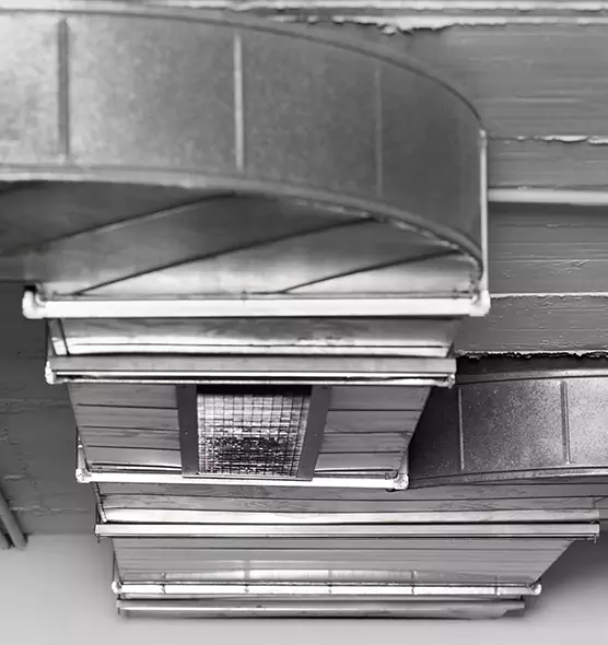 Professional Air Duct Pet Hair Removal in Randolph, MA