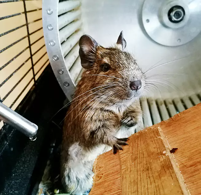 Why Homeowners & Businesses Trust Us Randolph, MA?