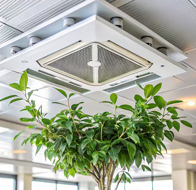 Why Homeowners & Businesses Trust Us in Randolph, MA