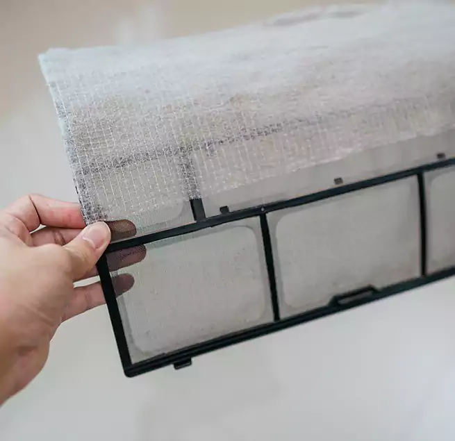 Why Homeowners & Businesses Trust Us in Randolph, MA?