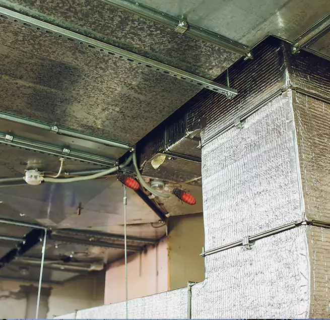 Why Homeowners & Businesses Trust Us Randolph, MA?