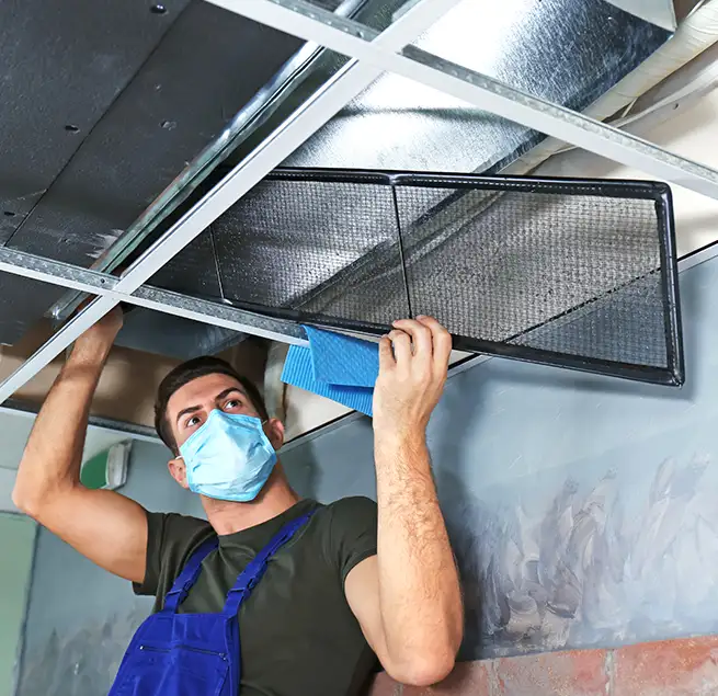 Why Homeowners & Businesses Trust Us in Randolph, MA?