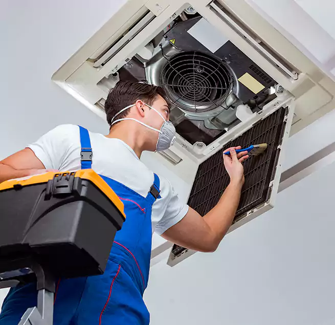 Why Homeowners & Businesses Trust Us in Randolph, MA?